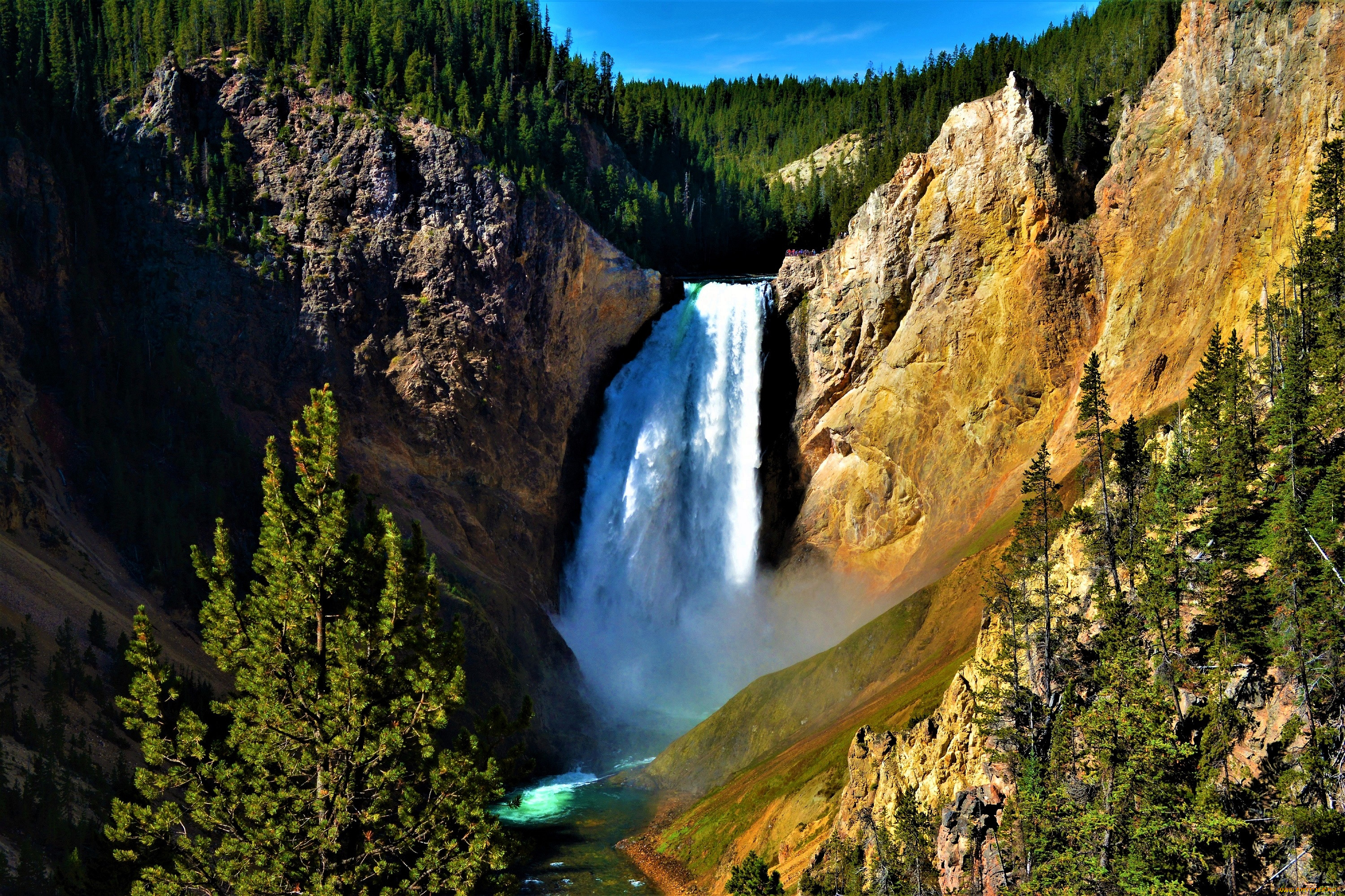 �������, ��������, �������, �����, ���, �������